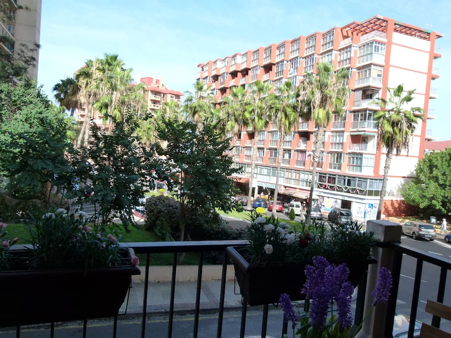 Vistas - View