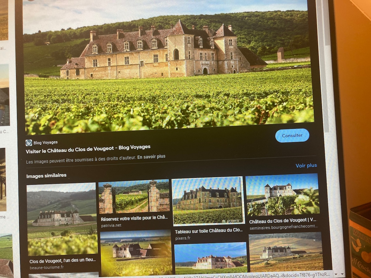 A grand, historical chateau is set against a lush landscape of rolling vineyards. The stone façade showcases intricate architectural details amidst a backdrop of green hills and a clear sky, highlighting its majestic presence within the tranquil countryside.