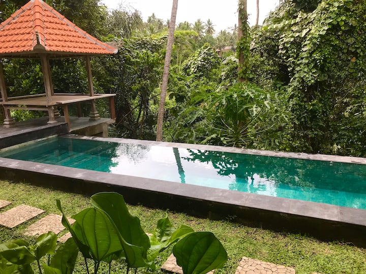 Secluded Jungle Villa With Pool - Ubud