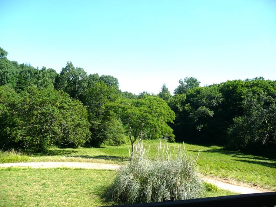 Vue de la terrasse et chambre