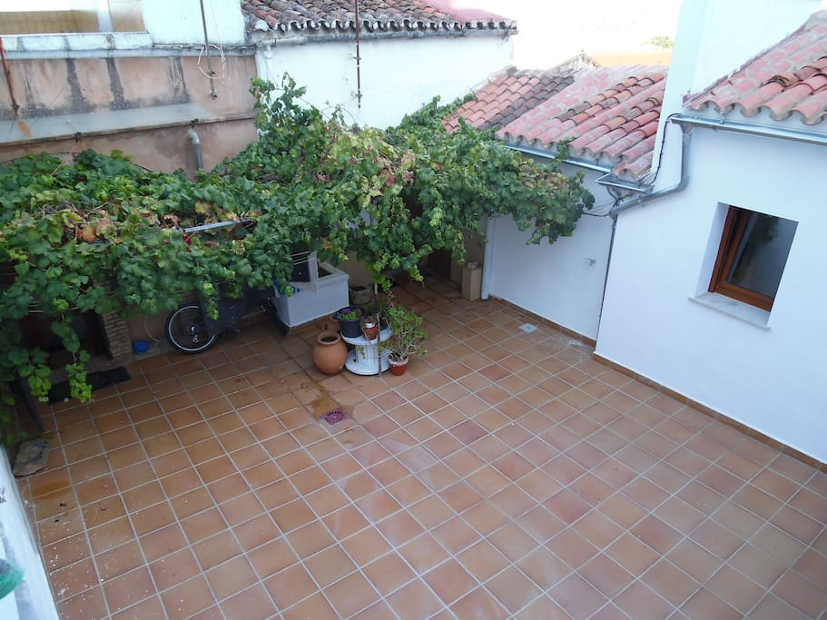 Patio común y de entrada