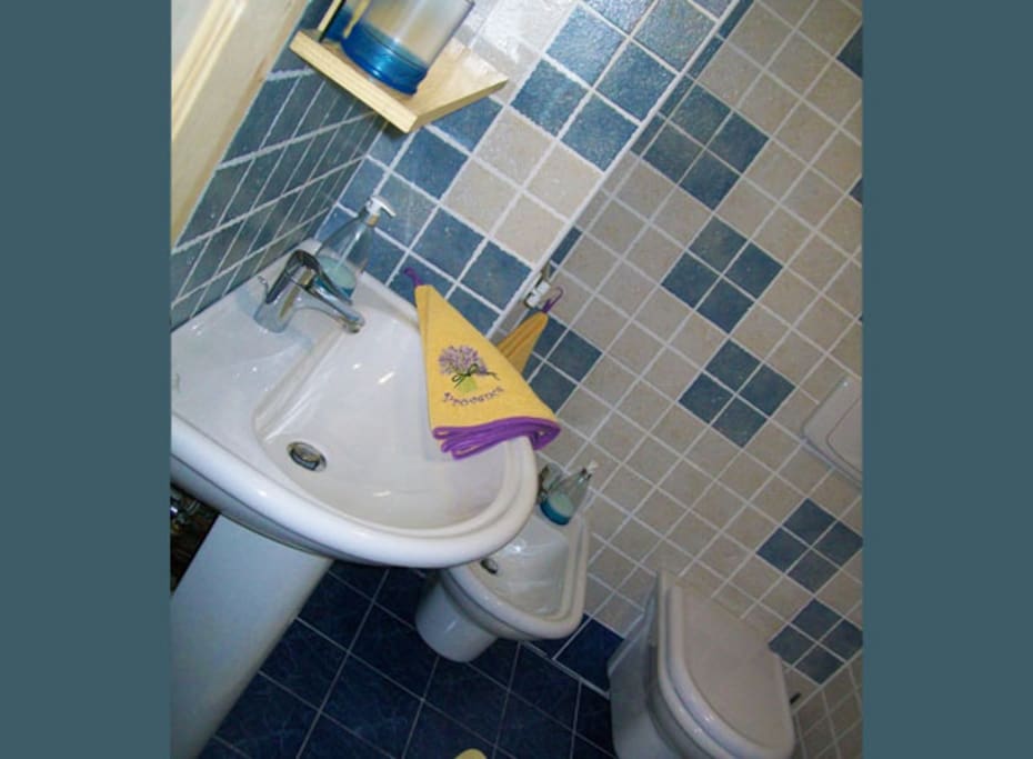Bagno con doccia ensuite