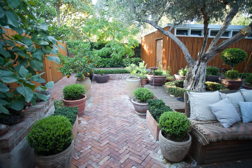 Tranquil garden to enjoy.