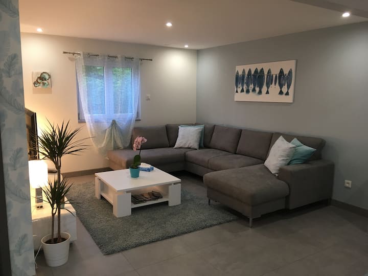 Le Sarment De Vigne - Dambach-la-ville