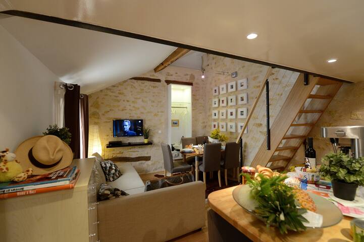 Les Patios Du Marais managed Airbnb listing 1
