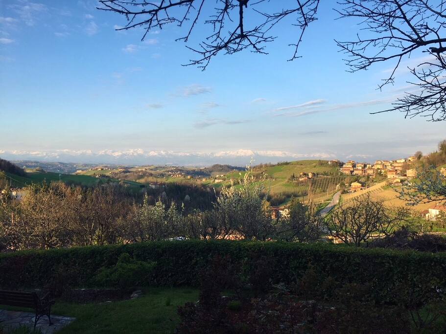 View from the patio