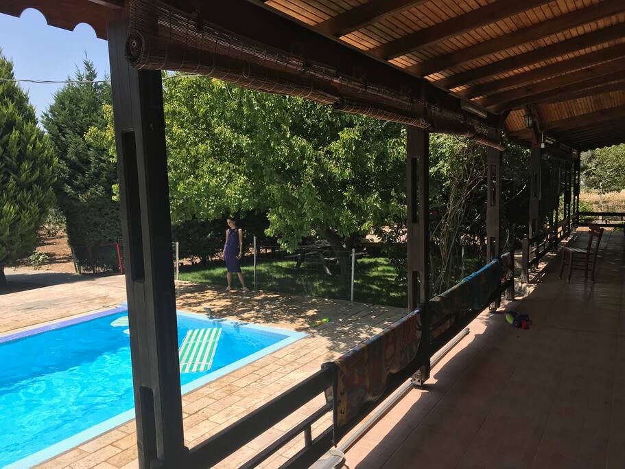 garden and pool