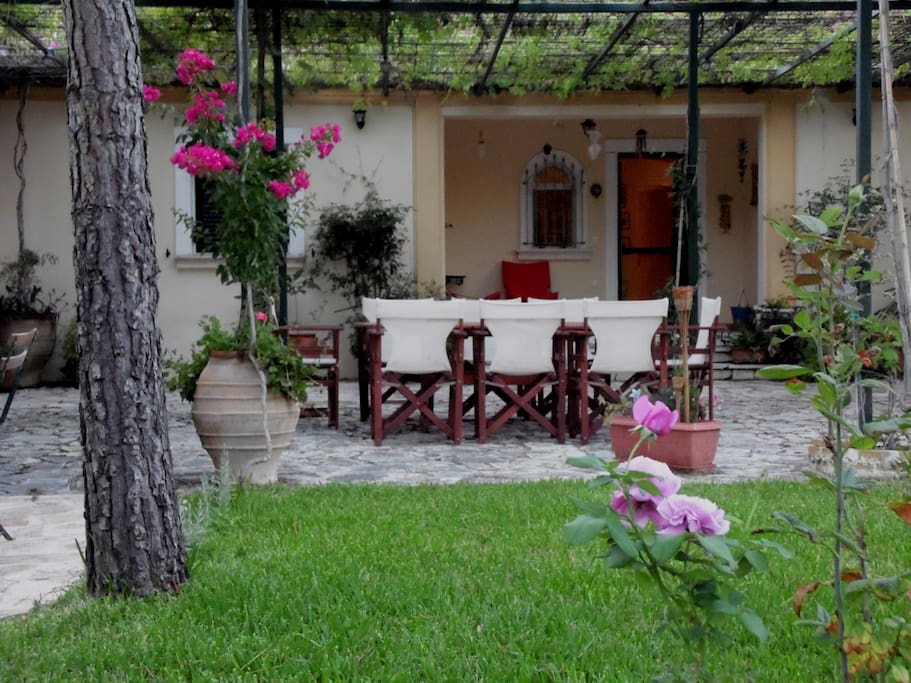 garden