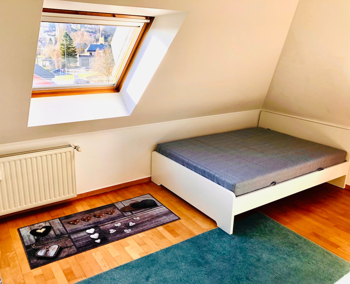 A bright sleeping area is presented, featuring a spacious bed with a simple, neutral-colored mattress. A skylight allows natural light to fill the room, illuminating the wooden floor. A decorative rug with various shapes is placed on the floor, adding a touch of visual interest.