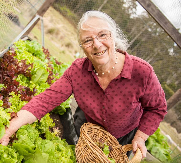 Fresh salads