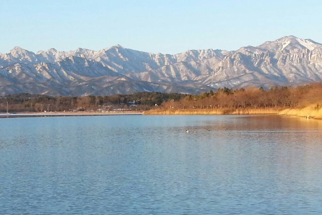 Lake in the winter