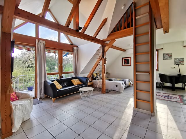 Airbnb Rheinau Vacation Rentals Places To Stay Baden