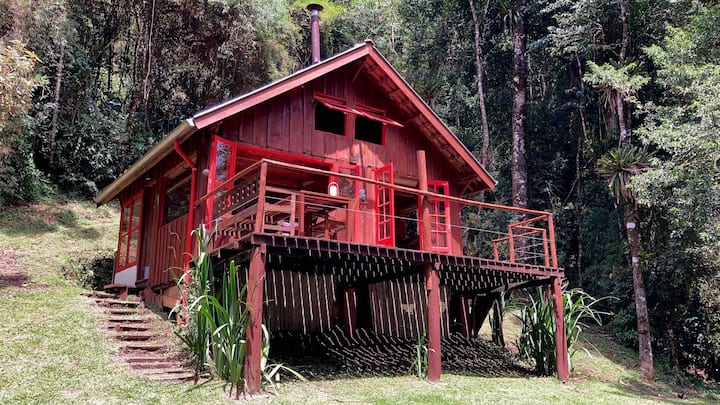 Cabin in the Forest, immersion in nature.