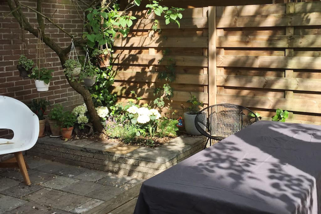 Garden with table and chairs