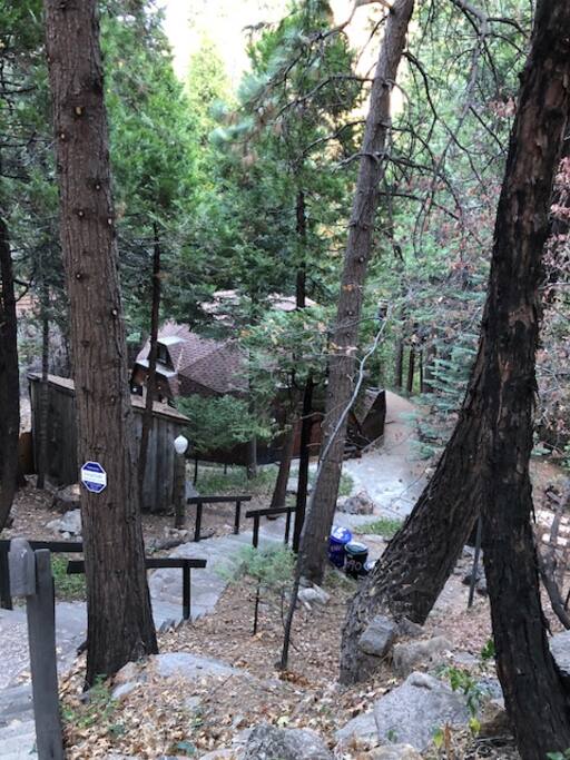 The Dome from the street....stairs take you down into the forest and straight to LeDome.
