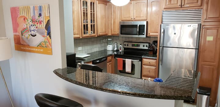 Min 2 Mon Stay Rivernorth 1br 1parking In-unit W/d - Chicago, IL