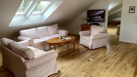 Bright apartment (air-conditioned)