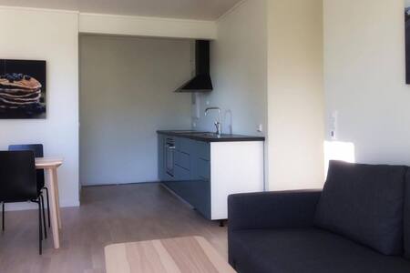 Contemporary & Comfortable