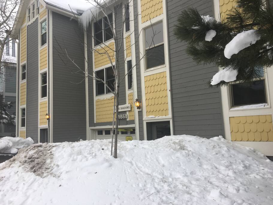 1035 Park Ave (Alpine Shadows)