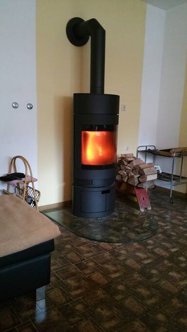 Wood stove