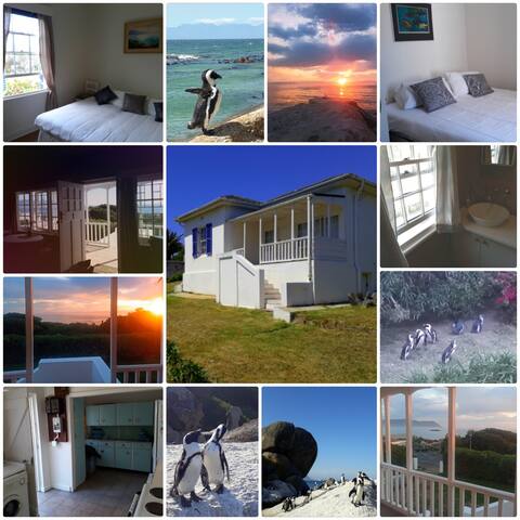 Boulders Beach Penguin Cottage gallery image 4