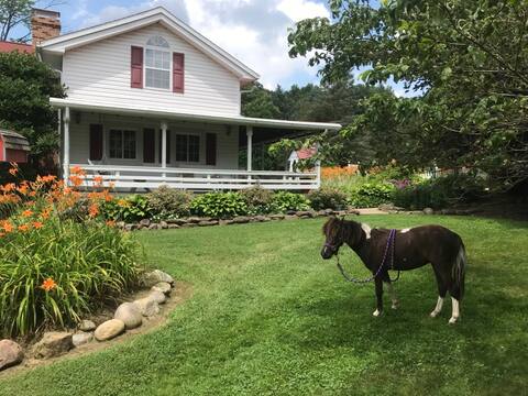 Mohican Farmhouse, Pond, and Animals