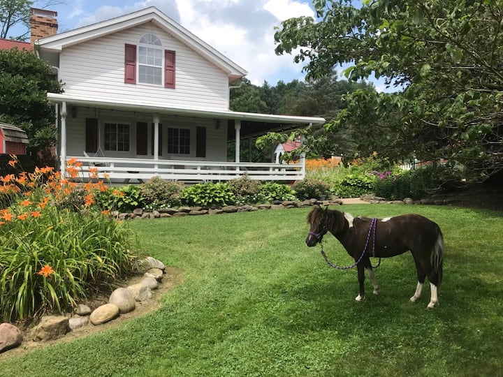 Mohican Farmhouse, Pond, and Animals