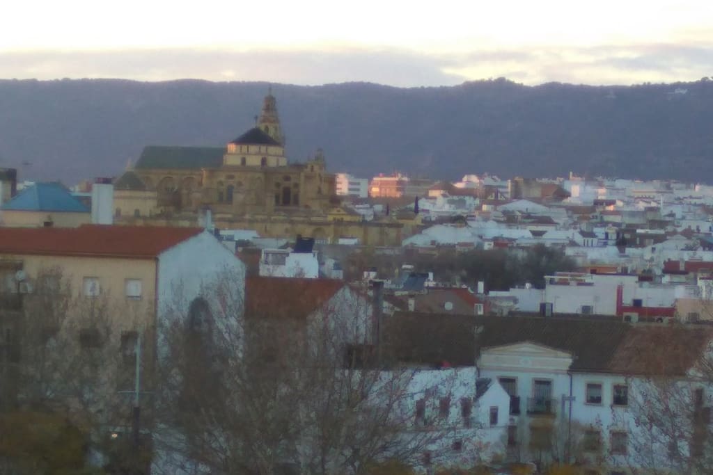VISTA MEZQUITA