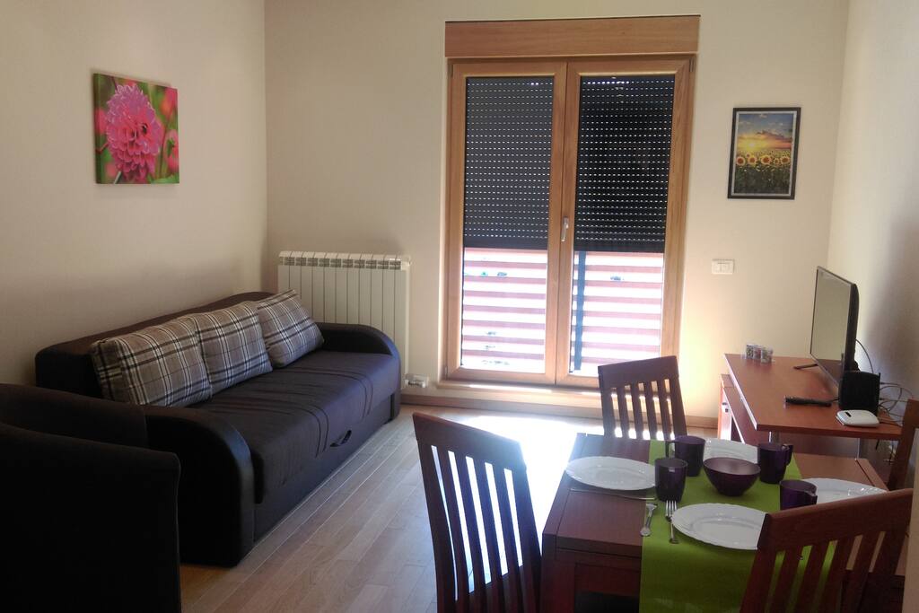 living room with sofa bed where two adults can sleep