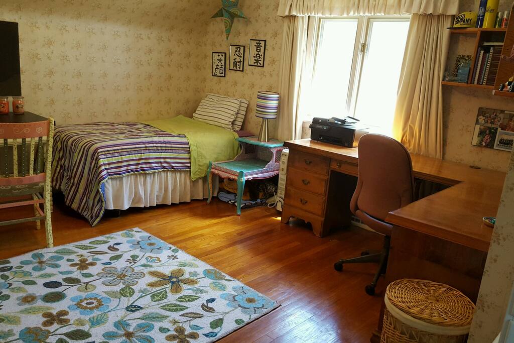Spacious bedroom with single bed, large desk, lots of closets, ceiling fan and windows