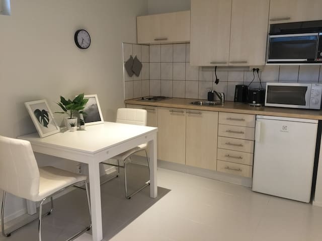 Scandinavian Style Apartment