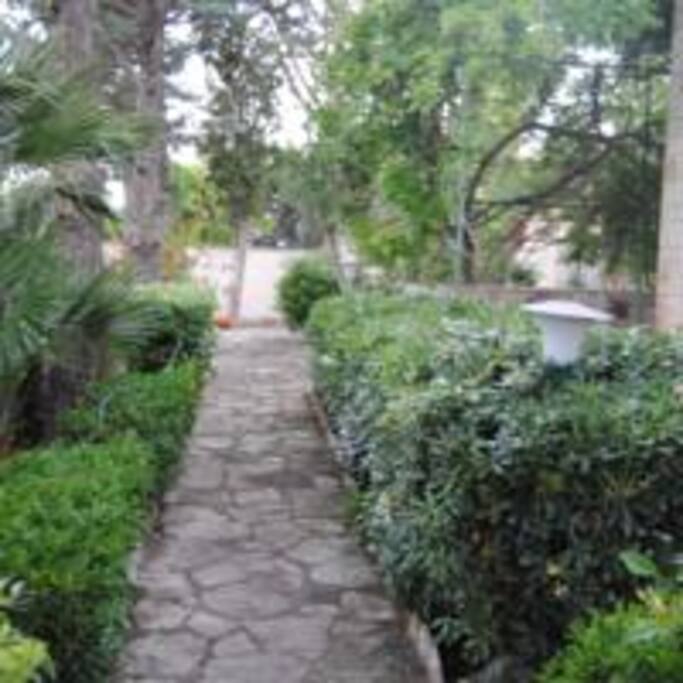 Viale del girdino