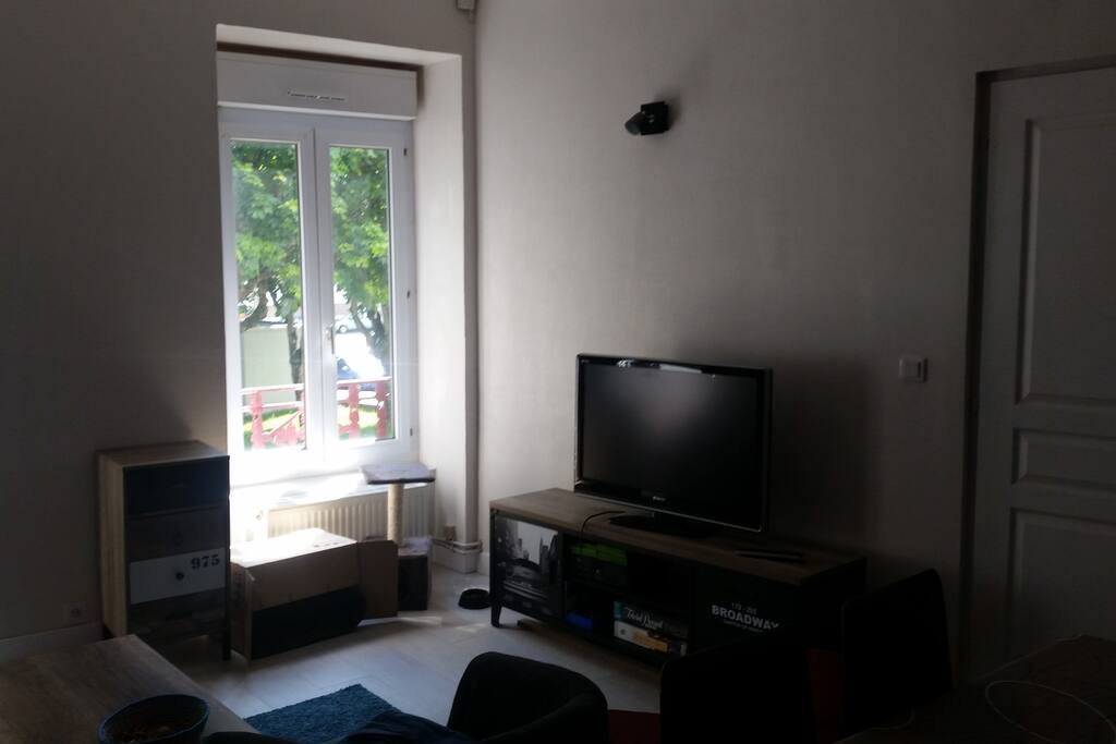 Salon / Living room