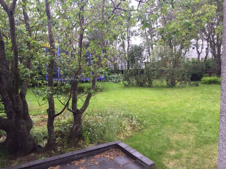 The garden