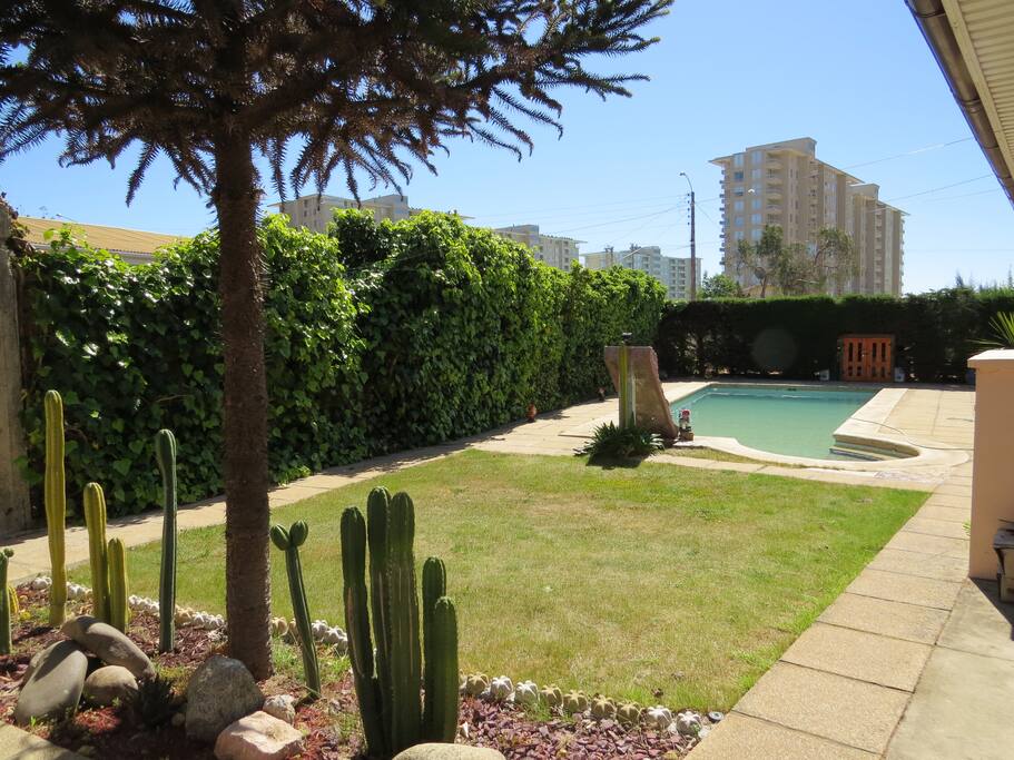 Yard and Pool