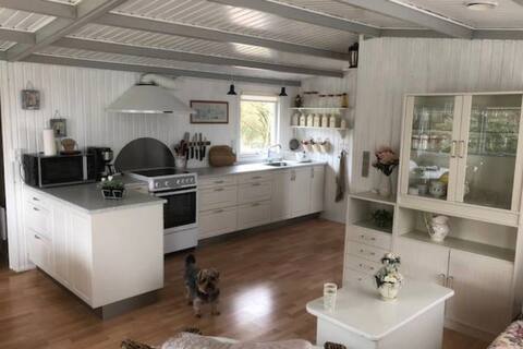 Lovely cottage in West Jutland