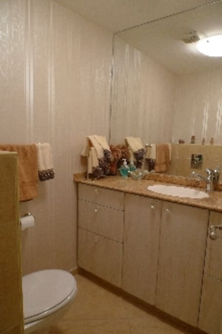 Guest bathroom