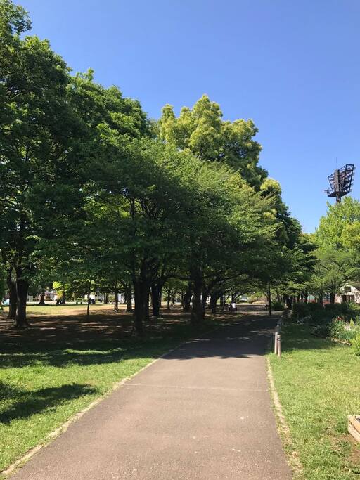 relax park near my apartment~