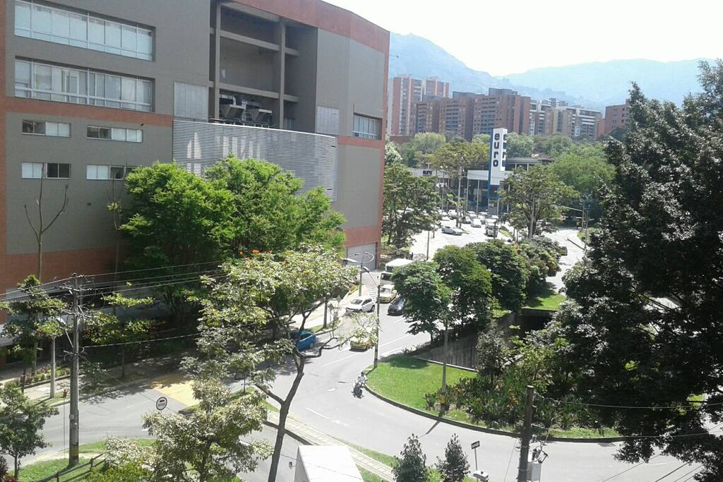 Zona