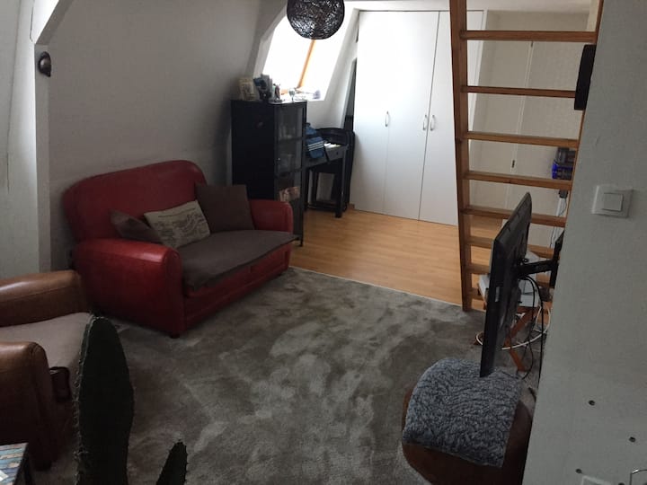 Appartement A Louer Pour L'euro De Football - Villeneuve-d'Ascq
