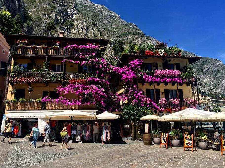the Bouganville from outside