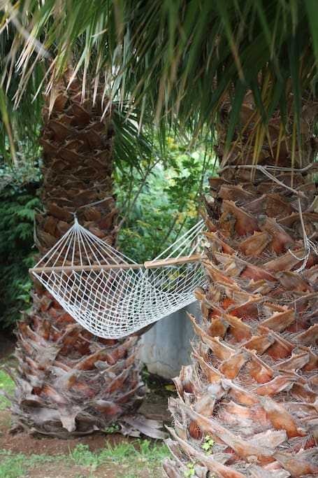 Relax with a book in a hammock