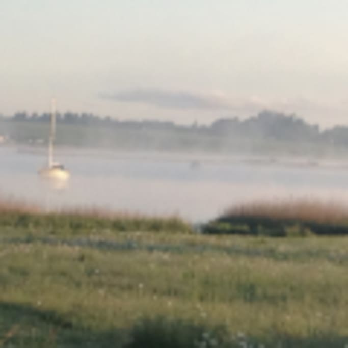 Diset morgen over Lejre vig