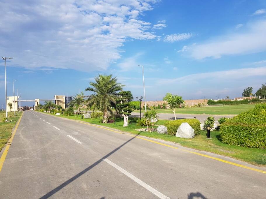 Main Road & Green Belts
