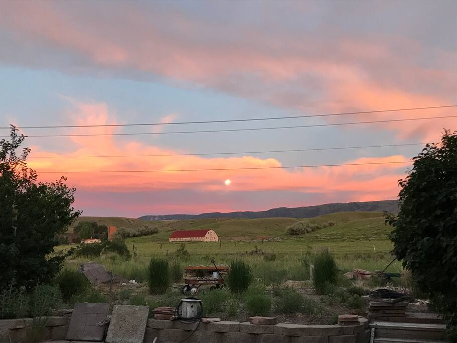 View from sunroom and backyard