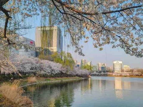 Jamsil Lotte Piano Galleria Lotte World 3mins Hotdeal!
