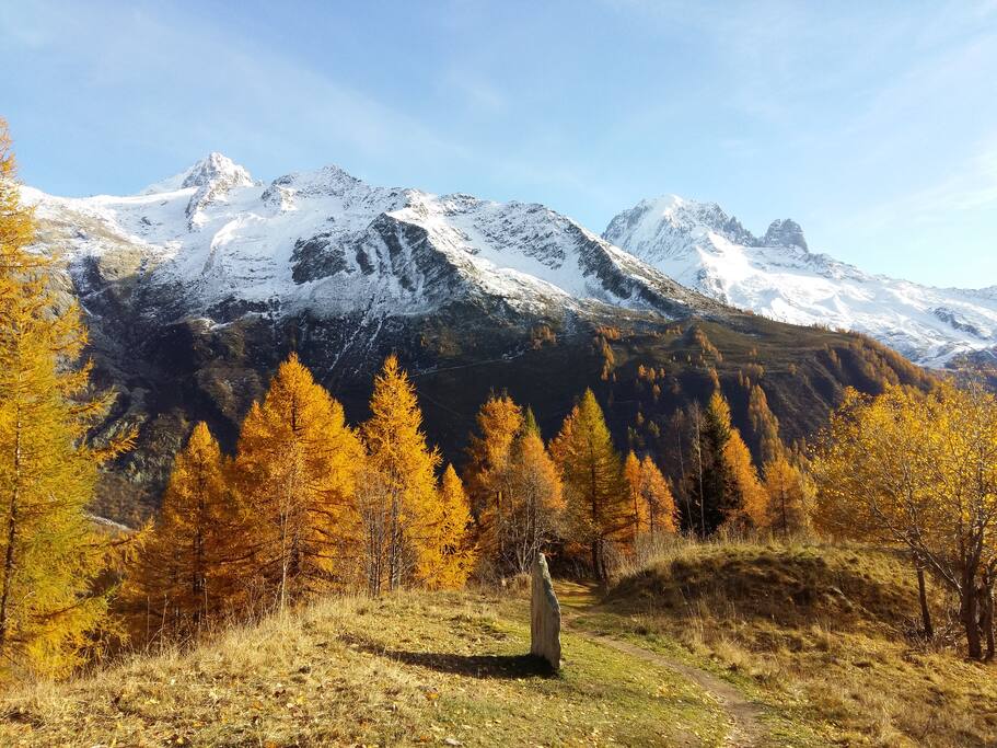 Rando en automne : Aiguillette des Posettes ( vue sur le glacier du Tour, l'Aiguille Verte , les Drus)