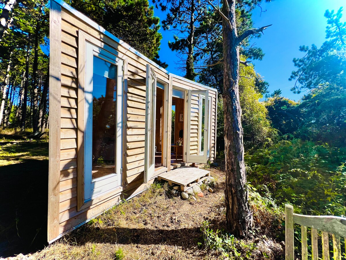 A contemporary wooden structure is set among towering pine trees, featuring large glass doors that open to the outdoors. A wooden deck leads to the entrance, surrounded by lush greenery, capturing a serene and natural environment.