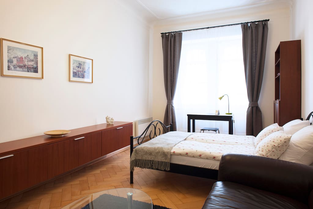 Living and sleeping room interior.