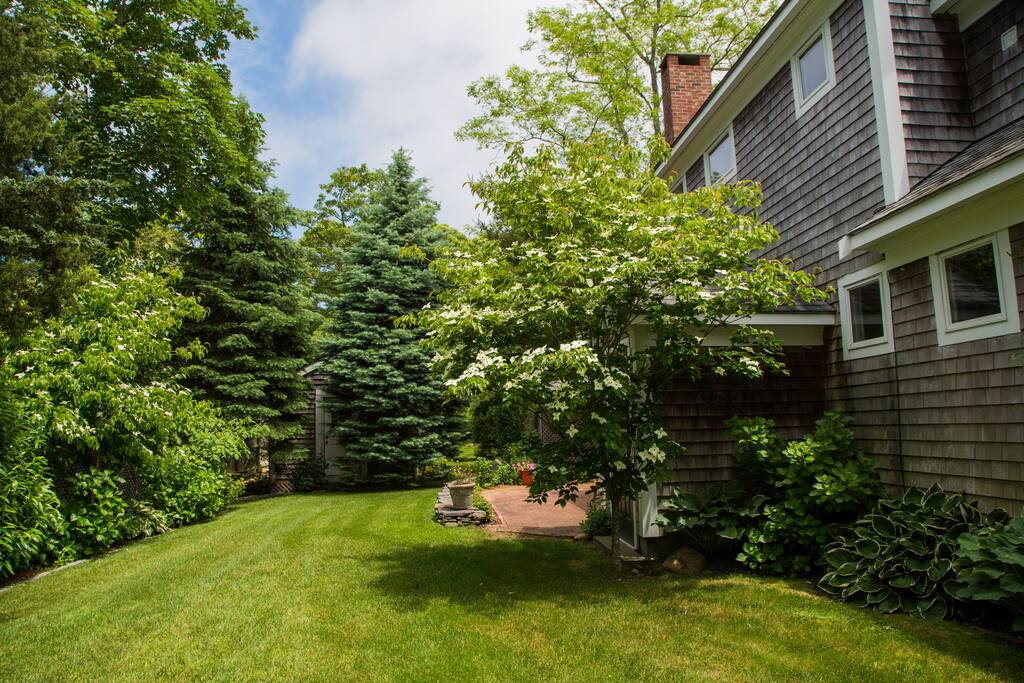 Big back yard, fully enclosed with even more grass beyond guest cottage (behind the big pine tree).